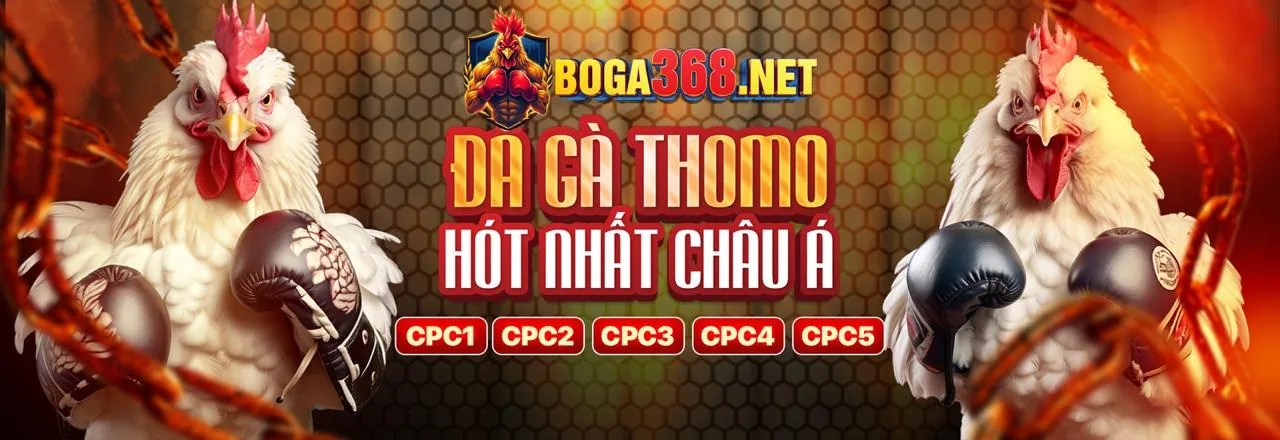 Chương trình VIP W188