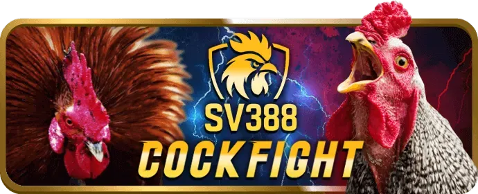 Dragon Tiger W188 – Đơn Giản & Nhanh Chóng